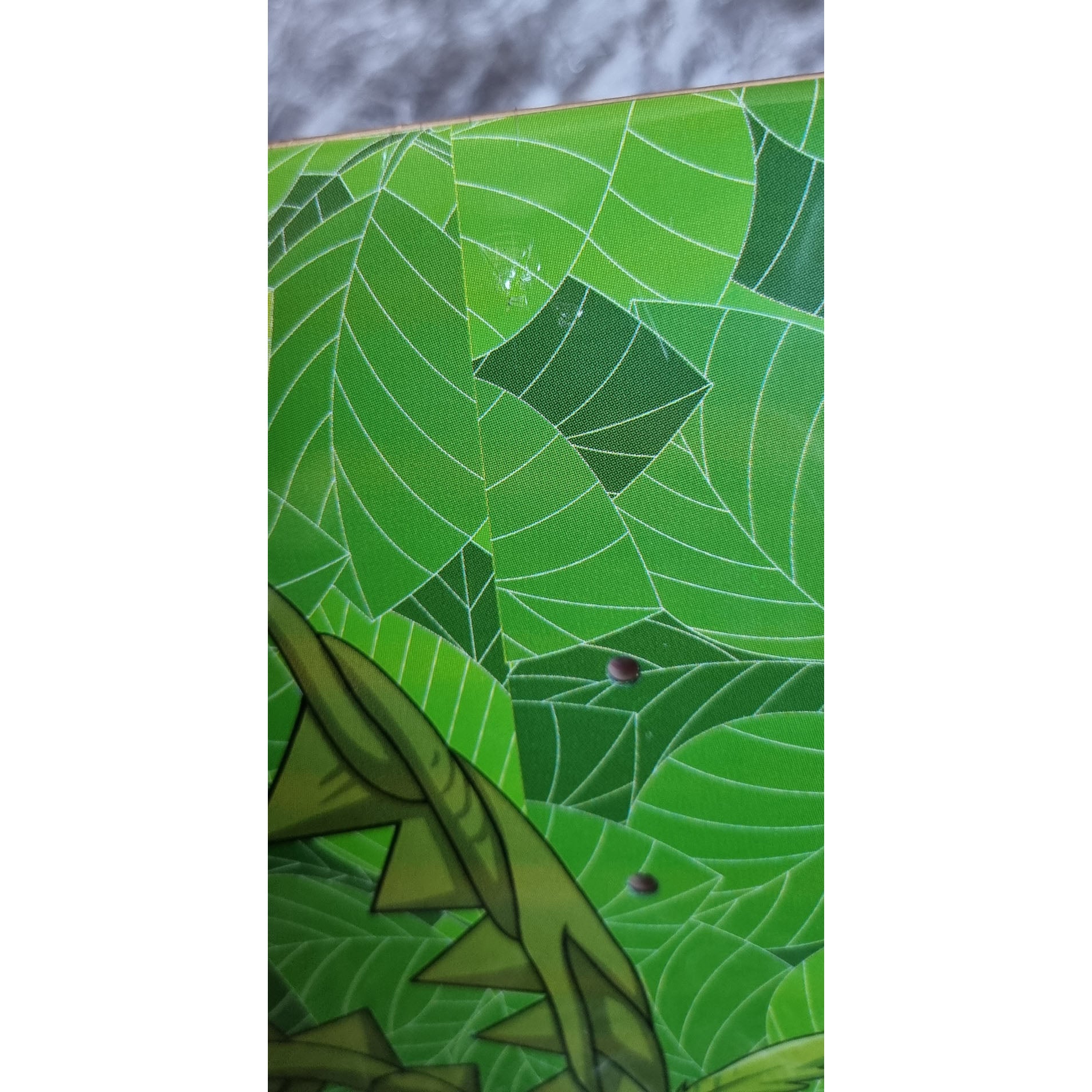 Bulbasaur Skateboard Deck rip 2